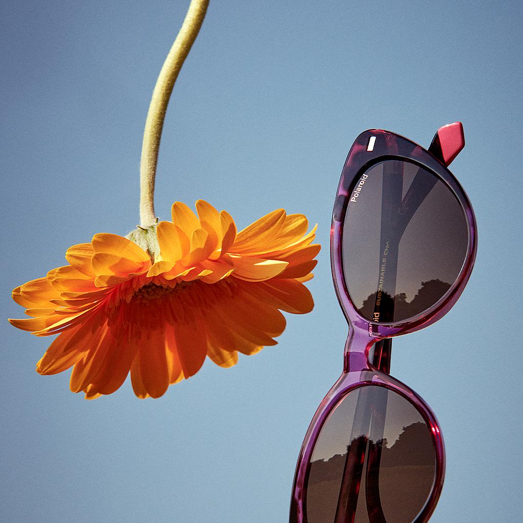 Lentes de sol Polaroid/Mujer